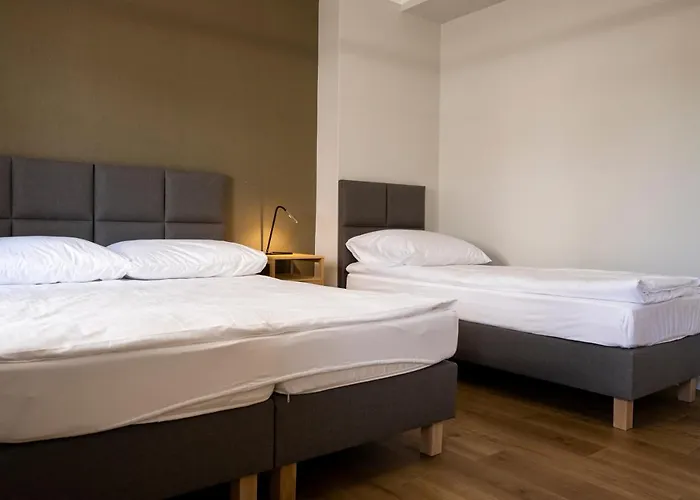 Orkana House Guest house 3*