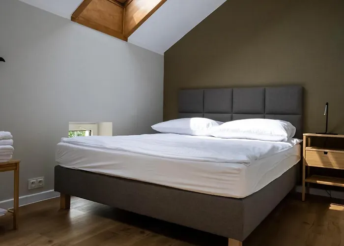 Guest house Orkana House 3*